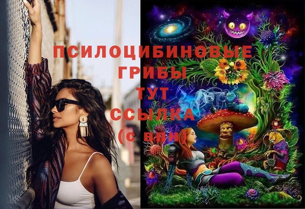 apvp Белоозёрский