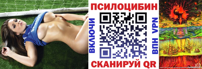 Псилоцибиновые грибы Psilocybine cubensis  Сковородино 