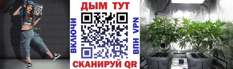 как найти закладки Сковородино Каннабис LSD WEED